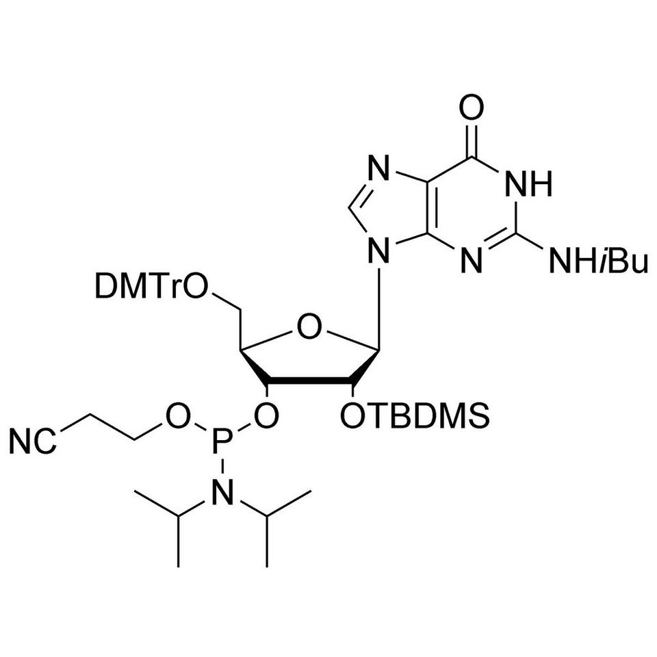 rG (iBu) CE-Phosphoramidite
